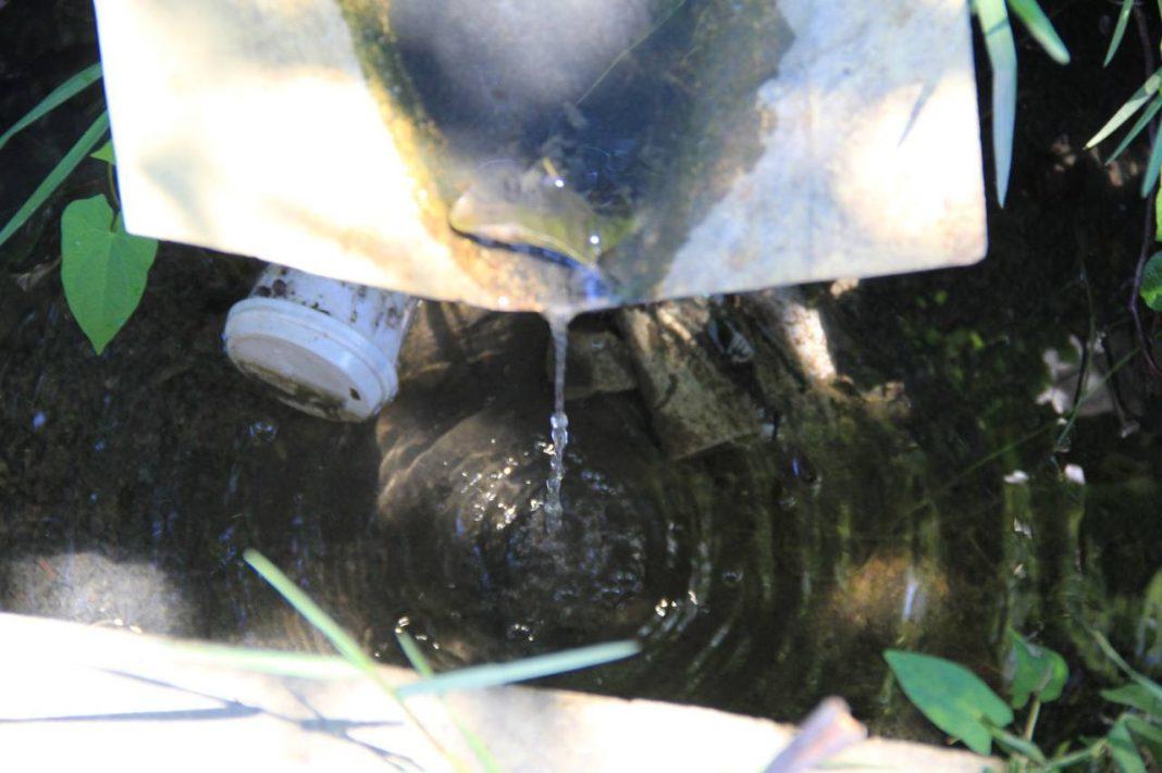 В Сочи защитят Черное море от сброса сточных вод