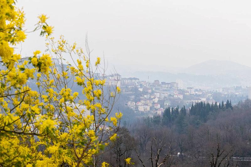 В Лазаревском районе повысят устойчивость системы водоснабжения