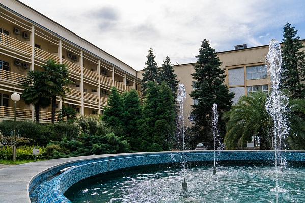 Здравницы Сочи примут на реабилитацию раненых и семьи погибших в результате теракта в «Крокус Сити Холле»