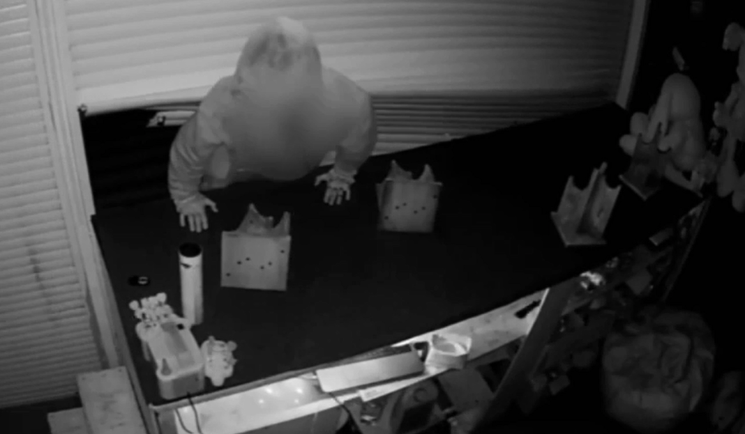 В Адлере двое вынесли из тира все ружья — видео