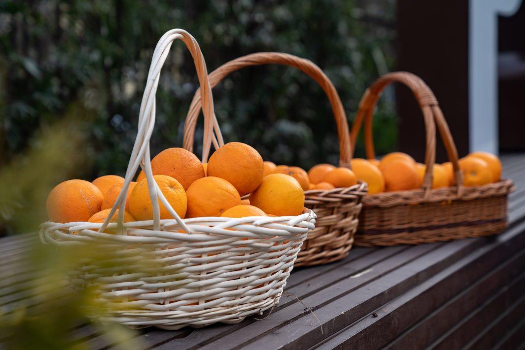 Двадцать лет исследований. Что известно про новый российский сорт апельсинов «Дружба народов»