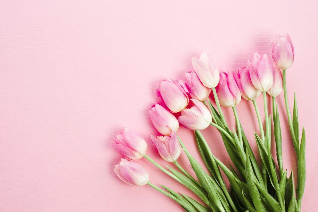 8 марта: куда сходить и где отпраздновать Международный женский день в Сочи?