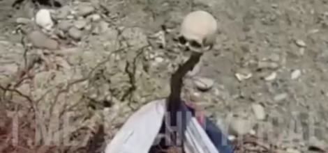 В Сочи обнаружили череп, выброшенный на берег