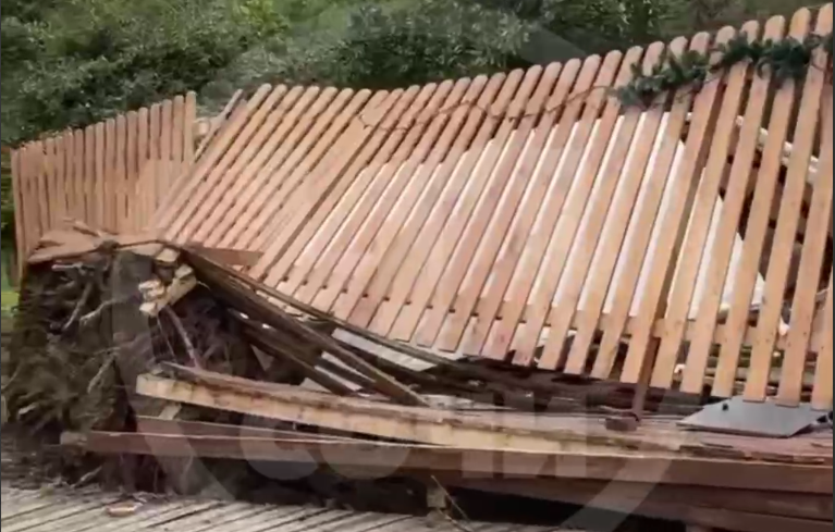 В Сочи дерево рухнуло на Хаски-парк