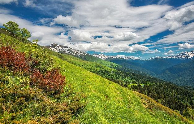 В Сочи проходит конкурс «природа Краснодарского края»