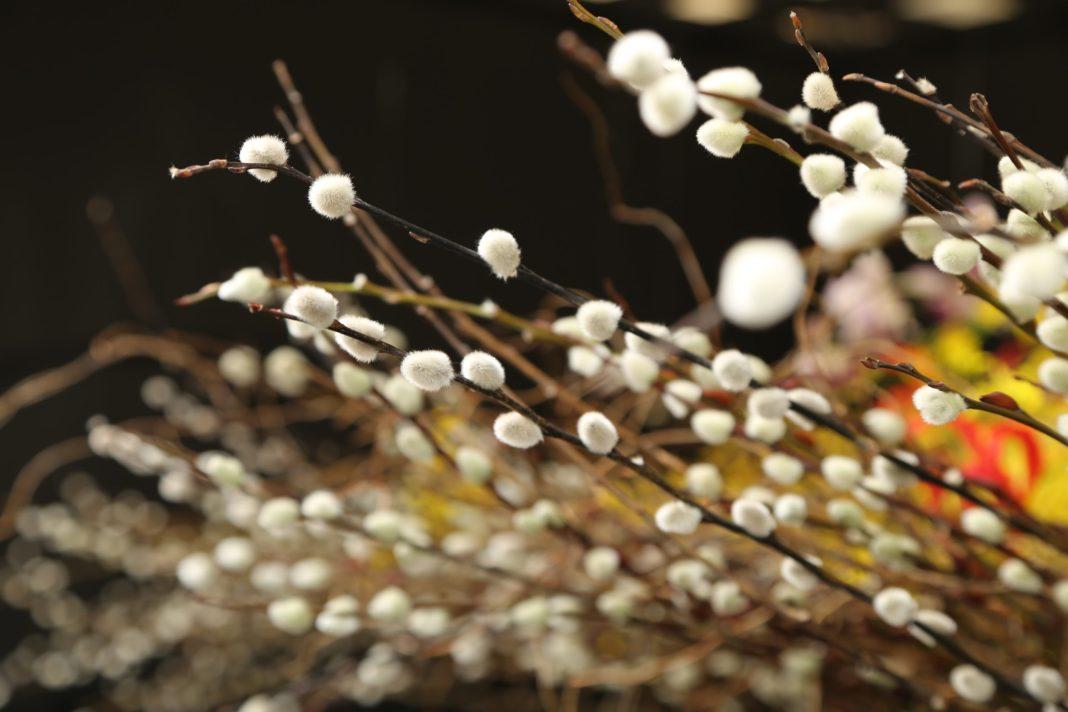 В России отмечают Вербное воскресенье