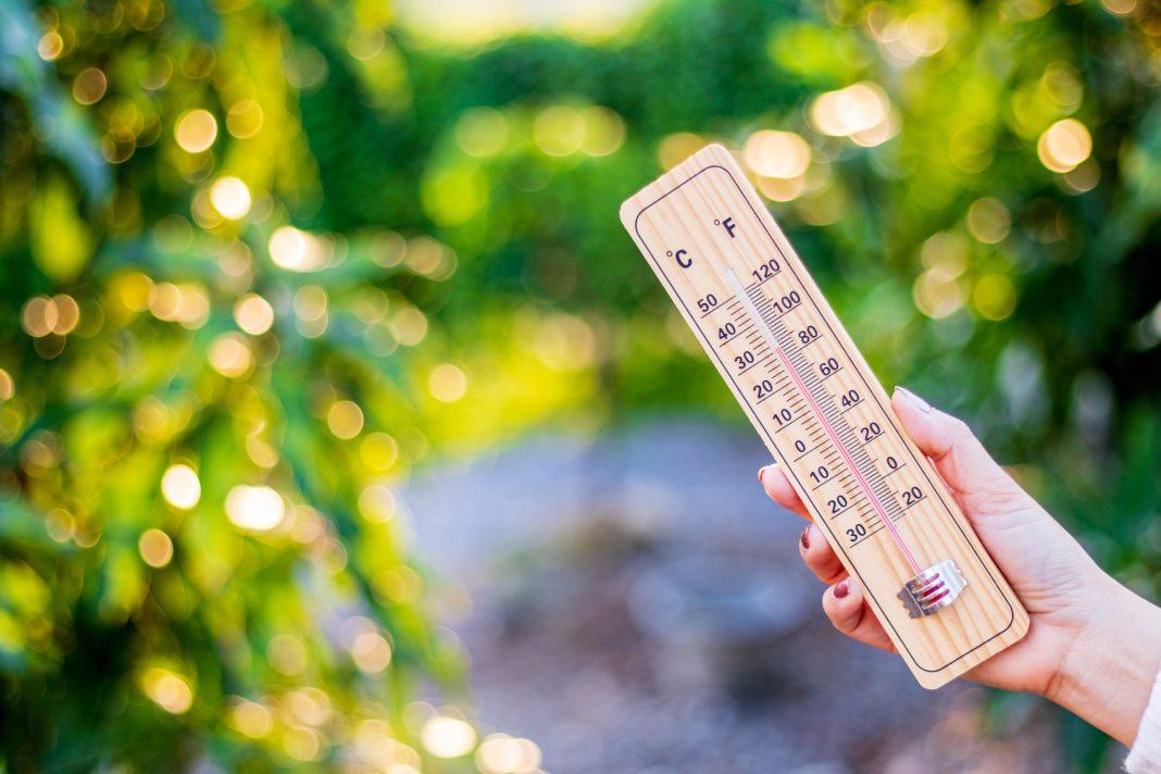 Термометр расплавится: синоптики прогнозируют возвращение аномальной жары в Сочи