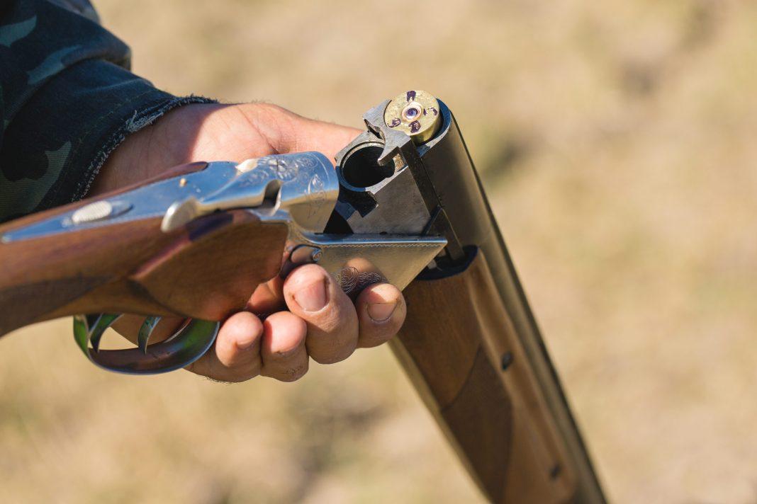На Красной Поляне завелся охотник на собак: местные бьют тревогу