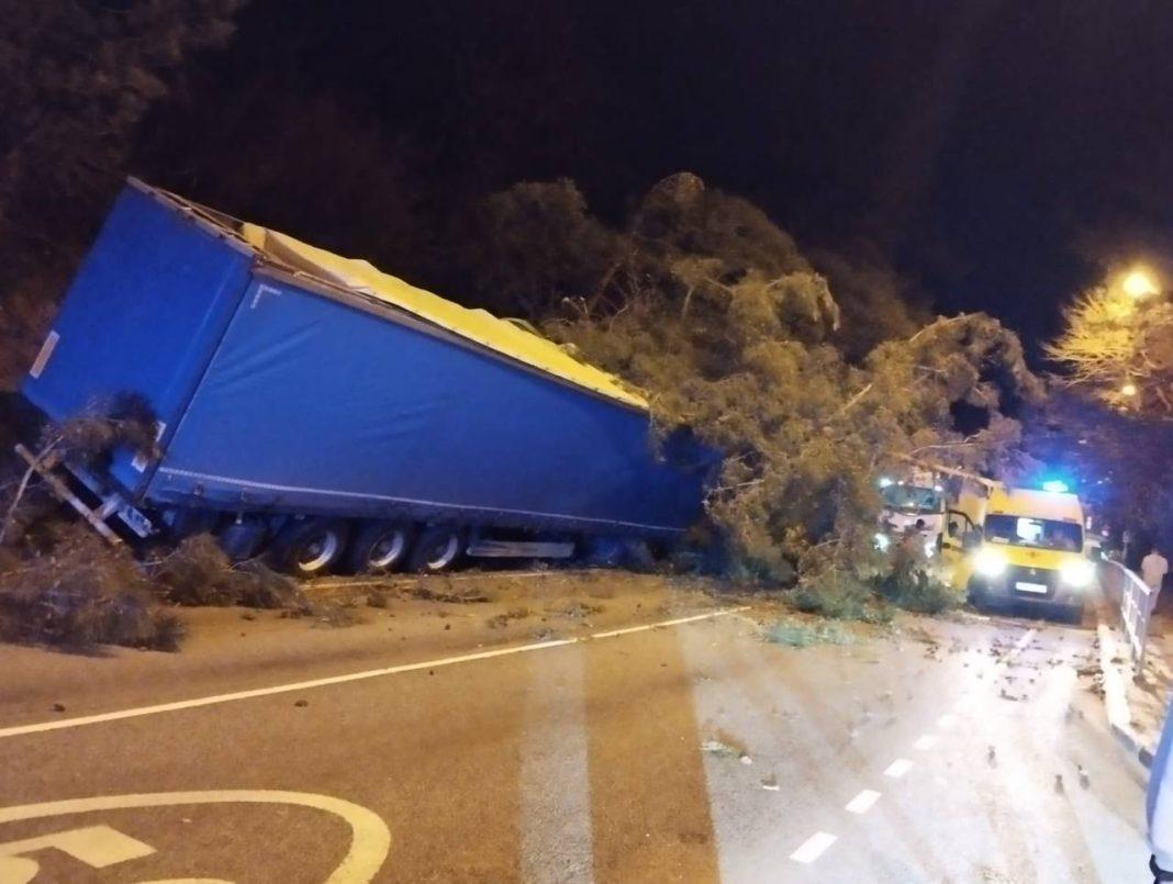 В Сочи водитель фуры въехал в дерево