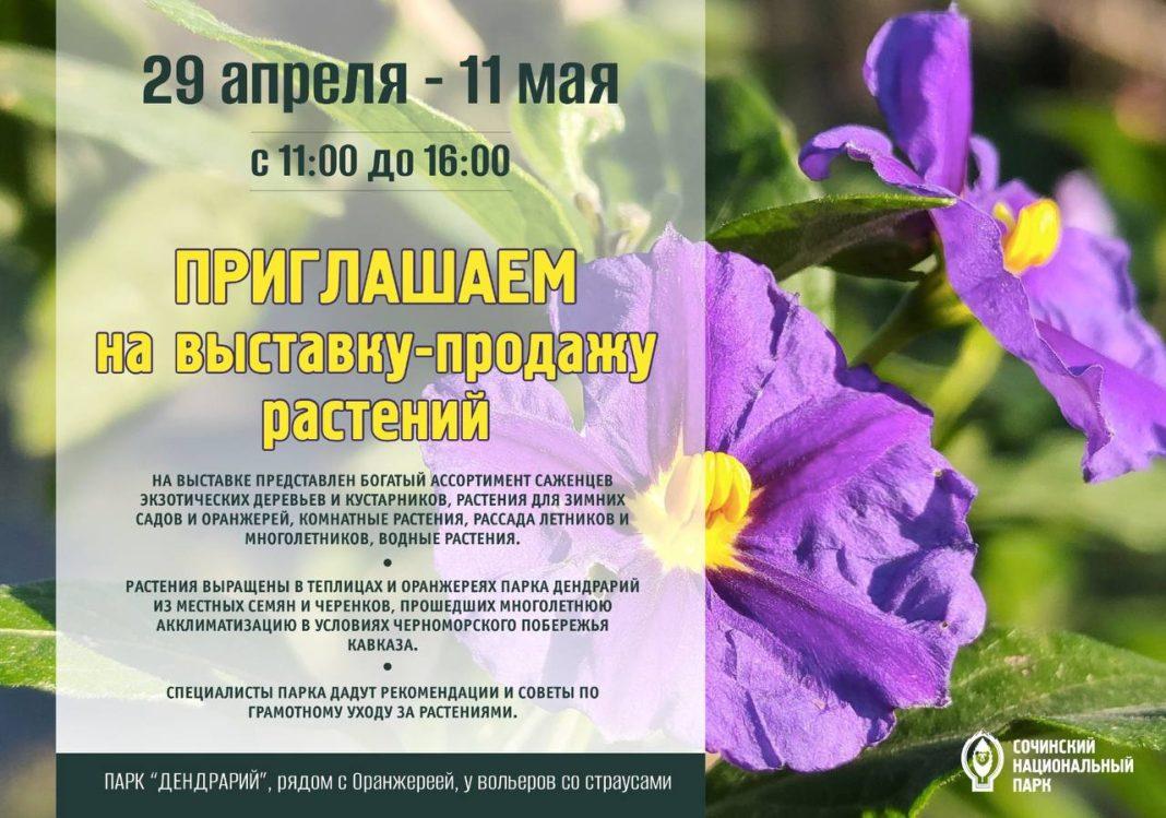 Парк «Дендрарий» приглашает жителей и гостей Сочи на выставку-продажу растений