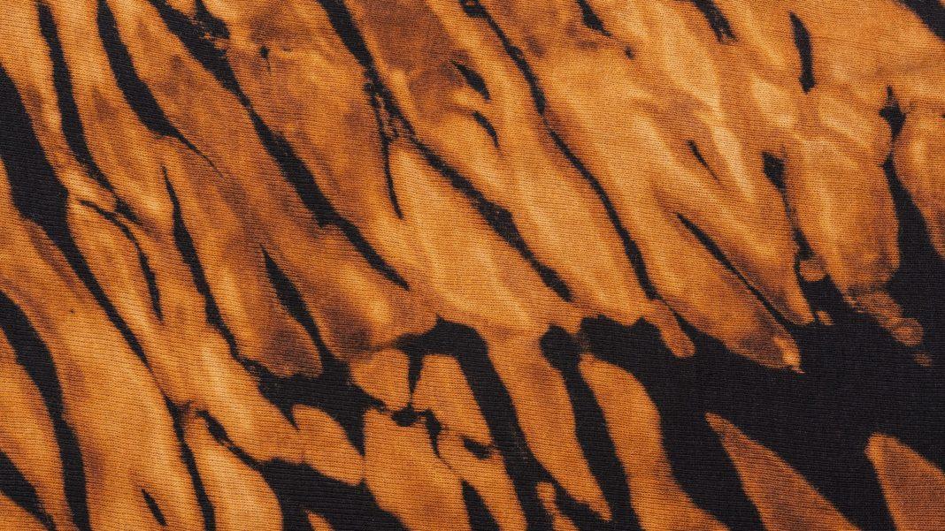 Ученые обнаружили следы тигра, который считался вымершим