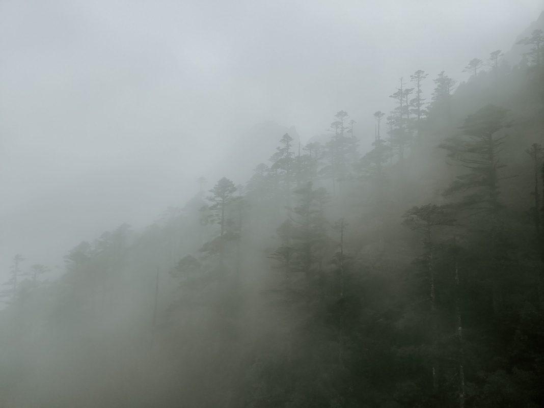 В Сочи уже второй день подряд прогнозируют туман