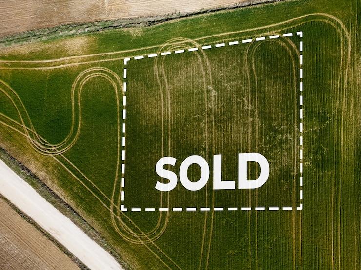 Не тронуто рукой человека: где покупать недвижимость в Сочи