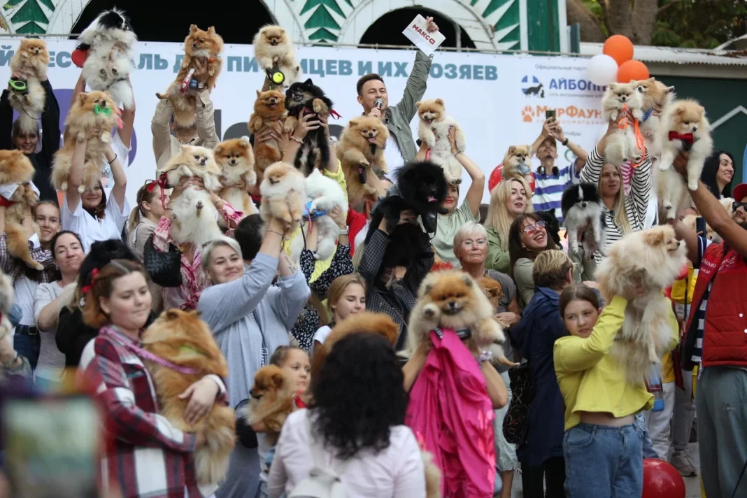 «Макс-ФМ» приглашает на фестиваль для питомцев и их хозяев «Море лап»