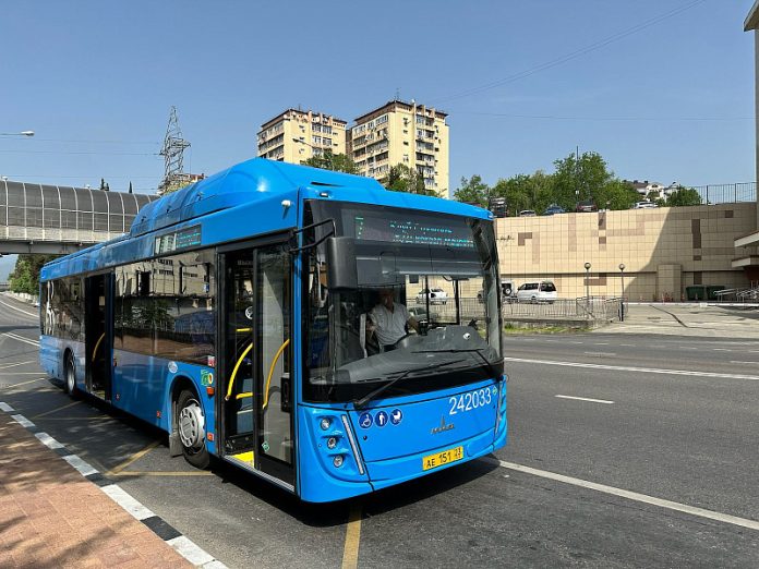 Автобус. Сочи автобус 2023. Автобус 552. Сочинский автобус маз. Экскурсионный автобус сочи.