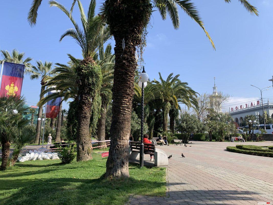 Зелёный уголок в центре города: как преобразится сквер Чайка напротив ж/д вокзала Сочи