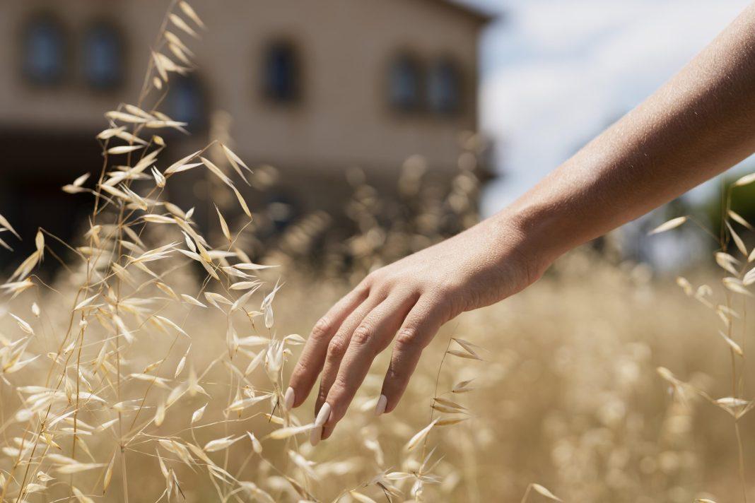 31 мая — Федот Овсяник: история и традиции праздника