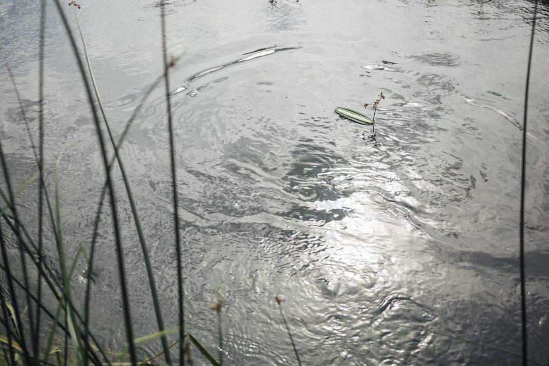 Спасайтесь, кто может: река Мацеста вышла из берегов