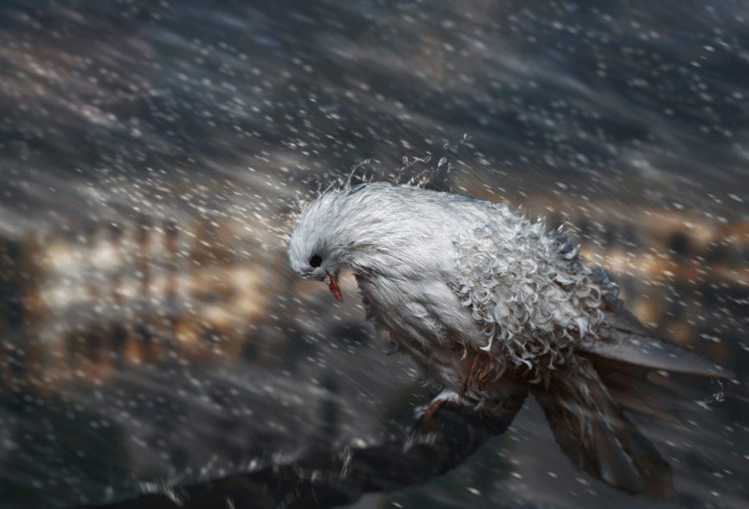 Вода уничтожает Сочи: жители всех районов города бьют тревогу (видеохроника)