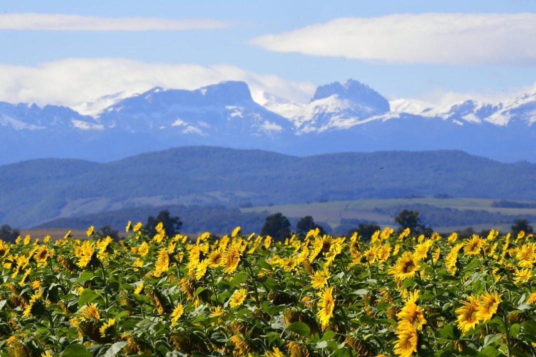 Площади охраняемых природных территорий расширят в Сочи