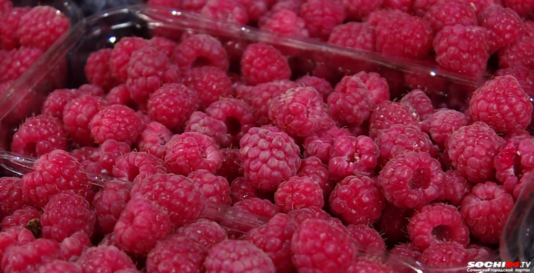 По стоимости икры: малина на рынках Сочи подорожала до 1500 рублей