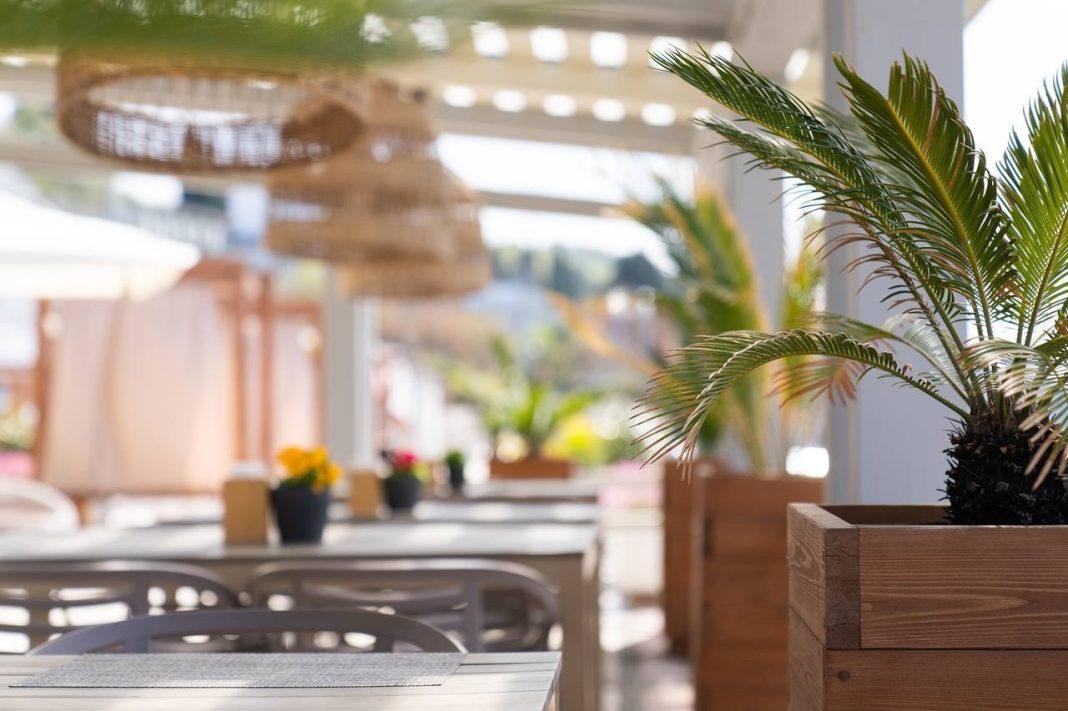 Кинотеатр под открытым небом, серфинг и не только: пляж «Одиссея» в Сочи готов к курортному сезону