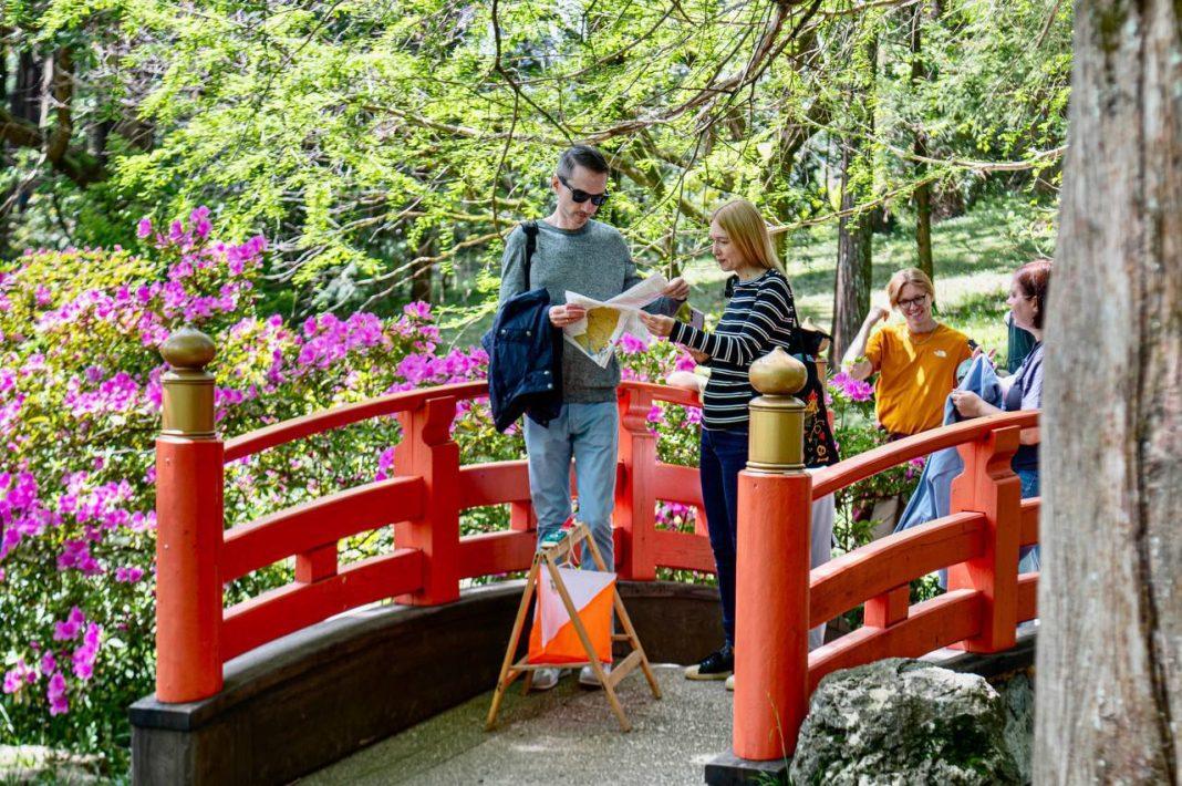 Где с лучше прогуляться в Сочи: самые красивые парки города