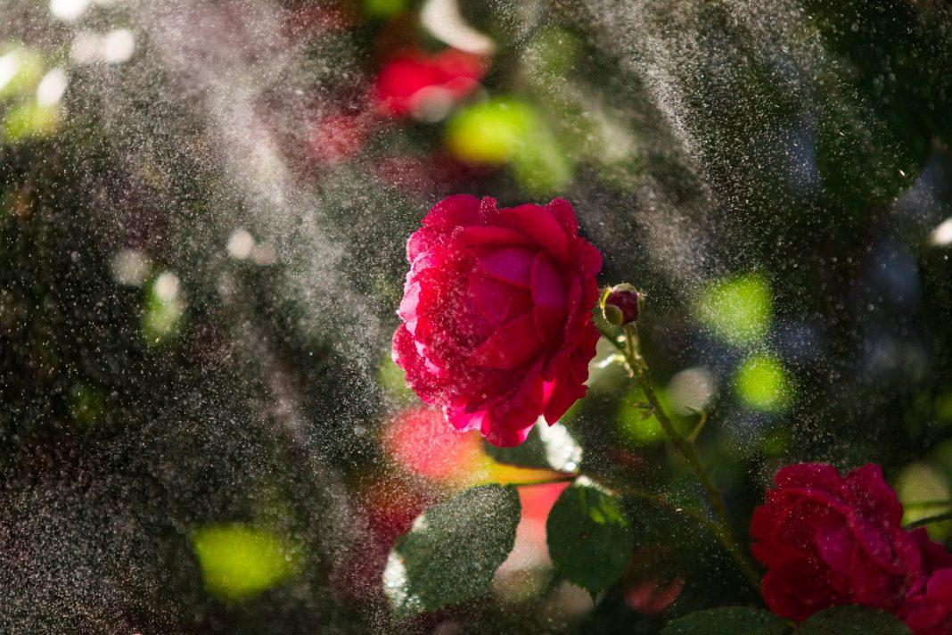 Парк «Ривьера» вынужден отменить мероприятия из-за непогоды