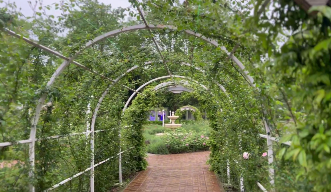 В Сочи отменяют ярмарку мастеров «Розарий АРТ»