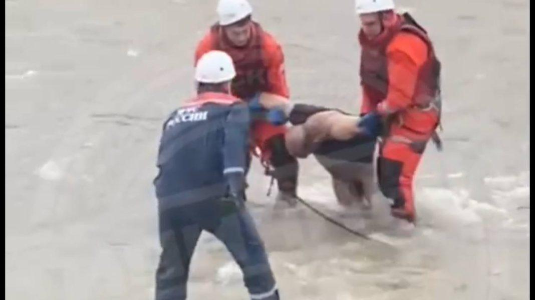 В Сочи неподалеку от ТРЦ «МореМолл» спасатели вытащили из реки труп