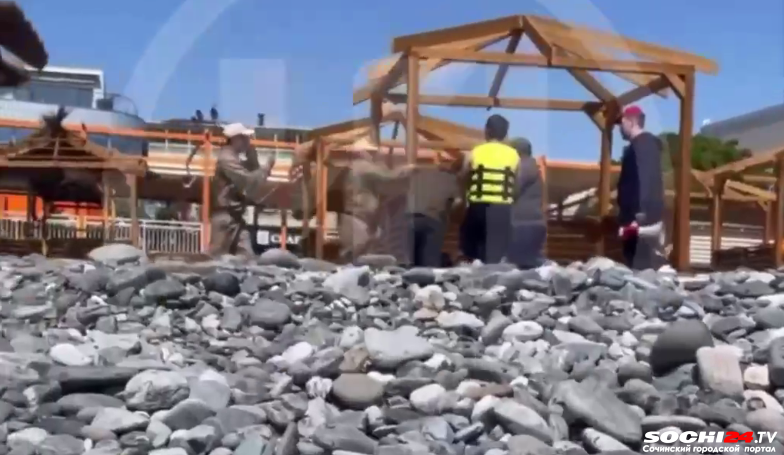 Драка в Сочи: отдыхающего избили сотрудники пляжа