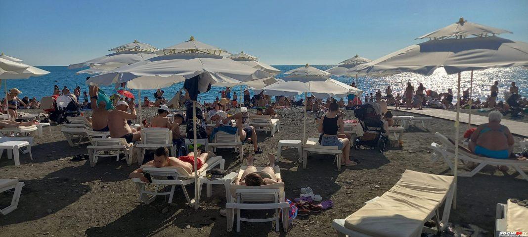 Пляжи, сервис, обезьянки: названы самые раздражающие моменты на отдыхе в Сочи