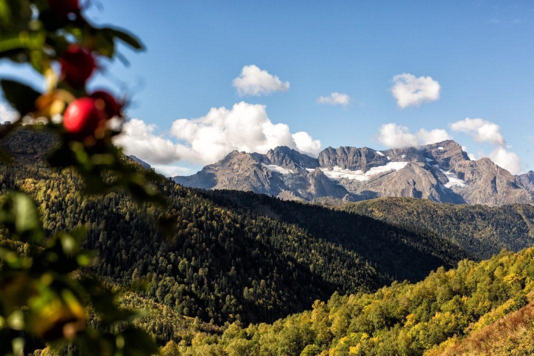 Опасная зона: ограничение на посещение лесов ввели с 8 июня в Краснодарском крае