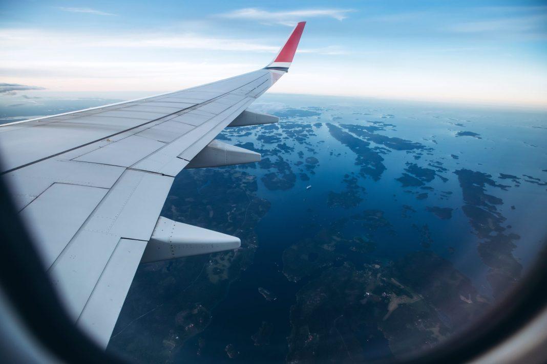 Птица заставила рейс Анталья — Сочи вернуться назад