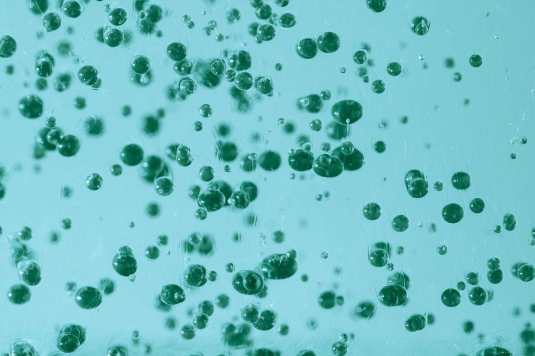 В России началась эпидемия «малой чумы»: чем это грозит Сочи