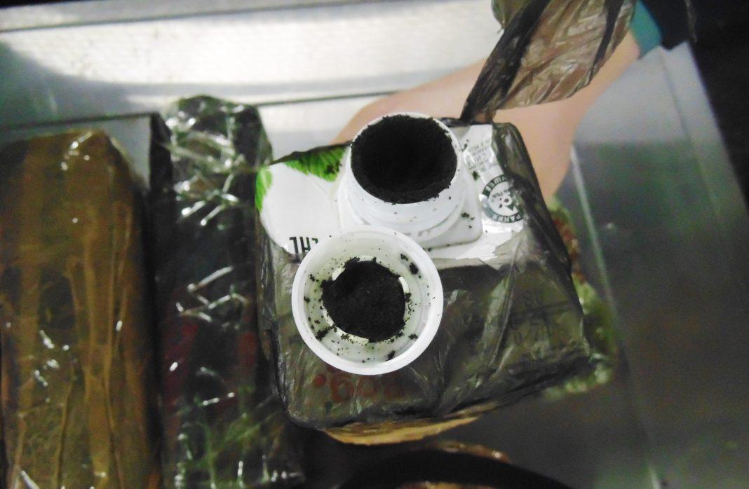 В Сочи задержали женщину с чемоданом насвая