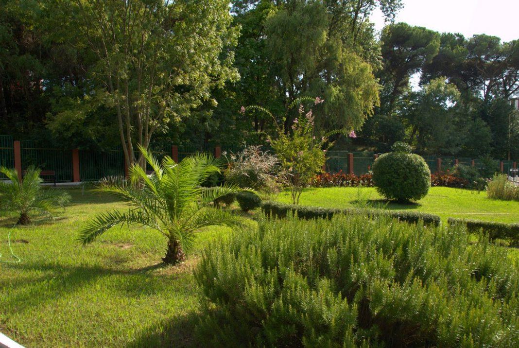 Природное великолепие: 64 года назад публике в Сочи представили парк санатория «Белоруссия»