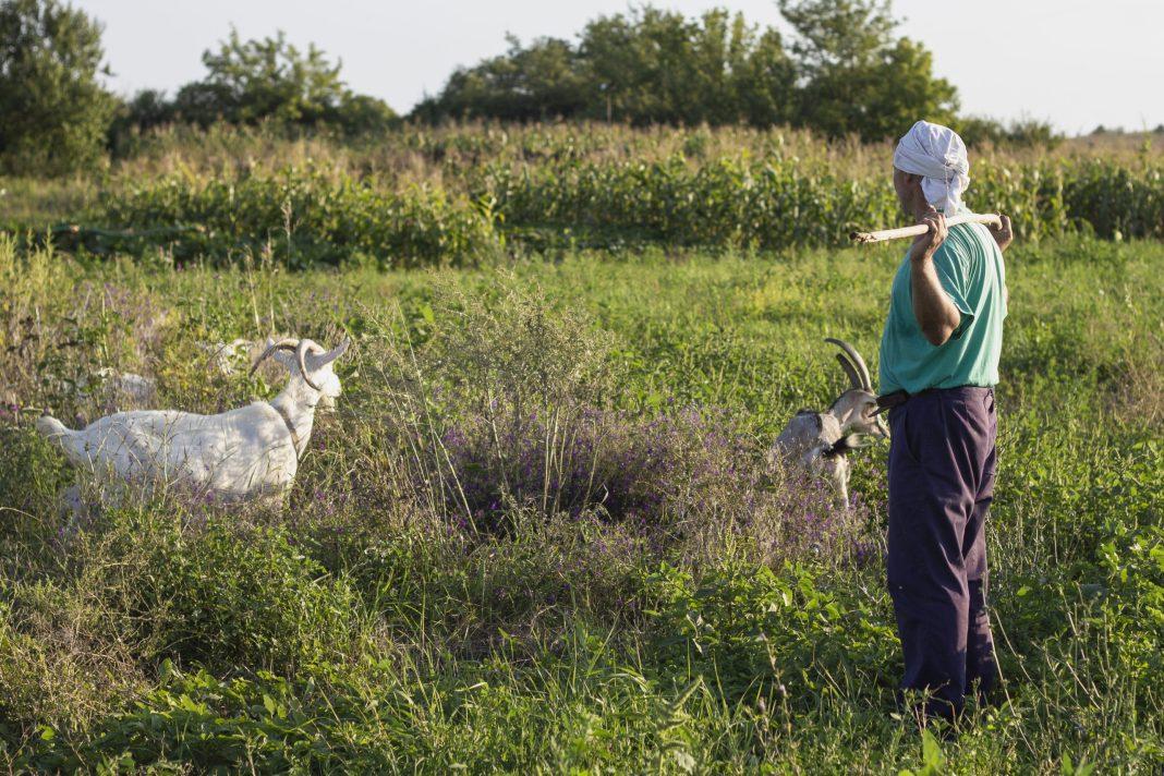 17 июня не ленимся и рассказываем сны воде: приметы и суть Митрофанова дня