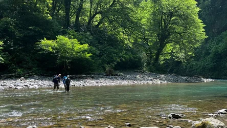«Нашли босым и без сил»: невероятная история спасения заблудившегося туриста в лесах Сочи