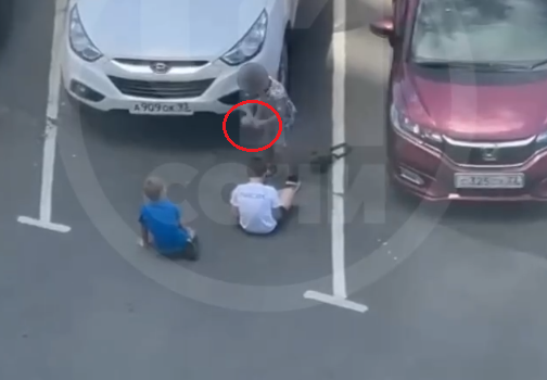 Маленькие живодёры: кадры детей, издевающихся над котятами, попали в соцсети — видео