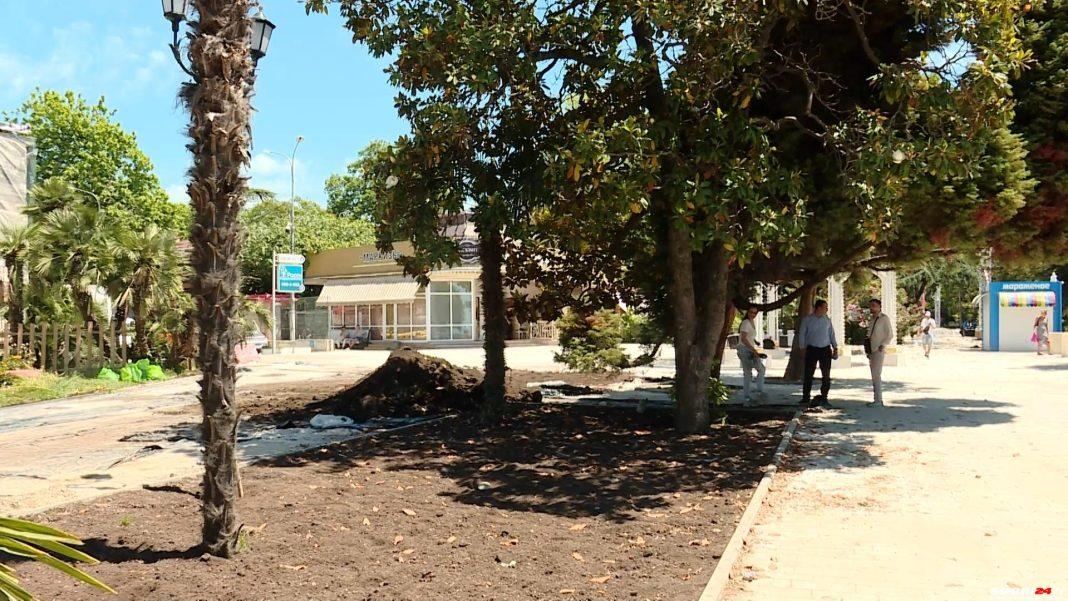 «Такое место красивое было»: жители Сочи оплакивают срубленную криптомерию