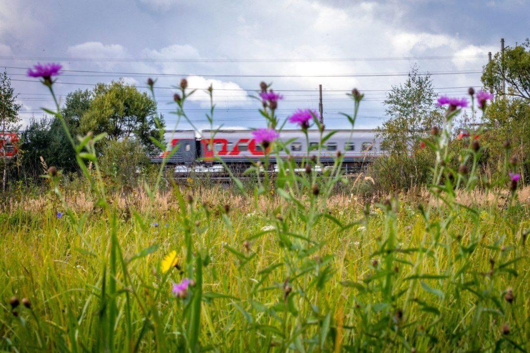 «РЖД» запустит дополнительные поезда в Краснодарский край и Крым