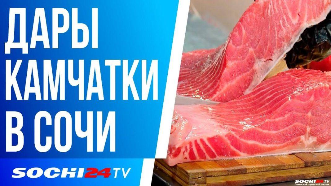 Рыба камчатки в Сочи