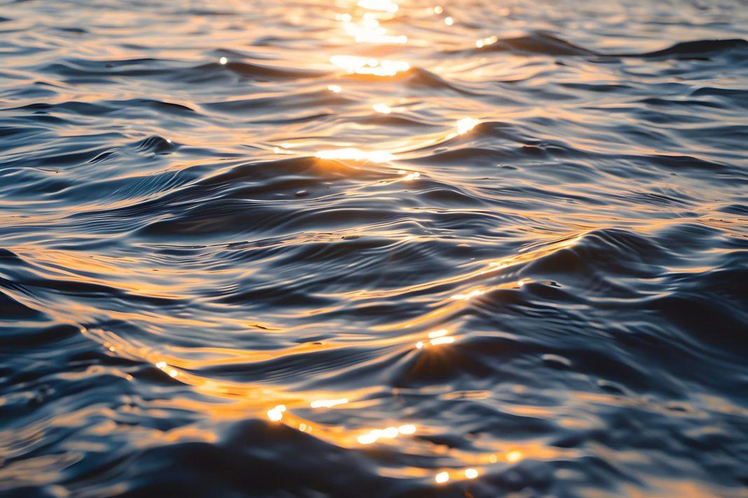 Температура морской воды в Сочи установила рекордное значение