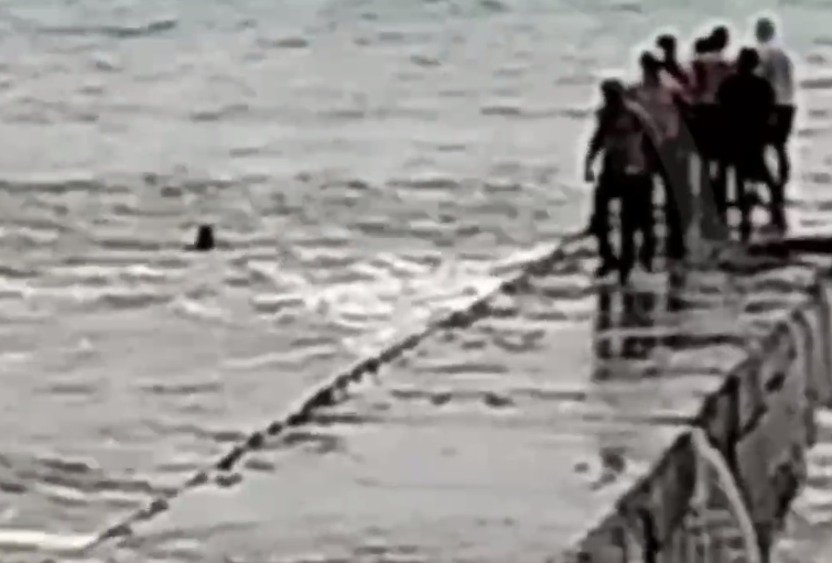 Купание в непогоду едва не стоило жизни туристу в Сочи