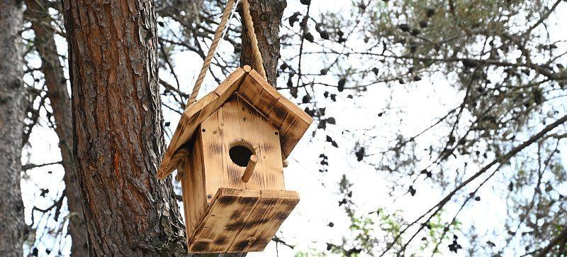 Много света, зелени и воздуха: в Сочи завершился первый этап реконструкции ландшафтного парка