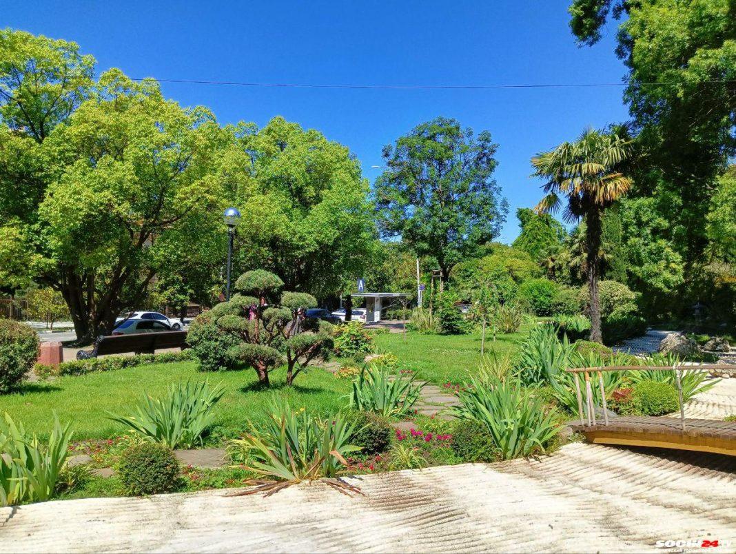 Не станьте жертвой! Как избежать распространенных ловушек для туристов в Сочи