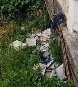 Река стала свалкой: кто загрязняет русло реки в Сочи?