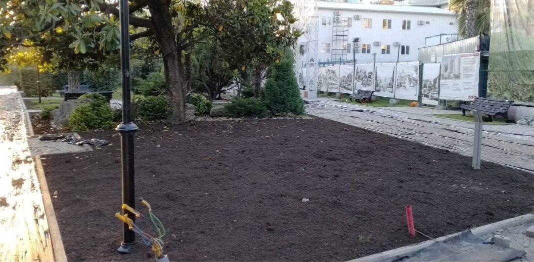 Погубили зелёный уголок: администрация Сочи прокомментировала уничтожение уникального дерева