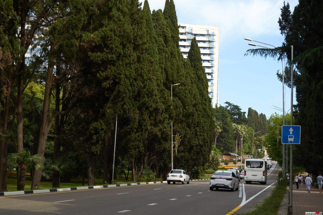 Изменения коснутся каждого внутригородского района: на каких улицах Сочи отремонтируют тротуары